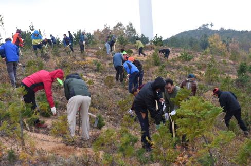 2015. 11. 6 숲가꾸기의 날 행사 사진