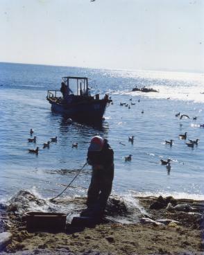 16. 수산물 조업