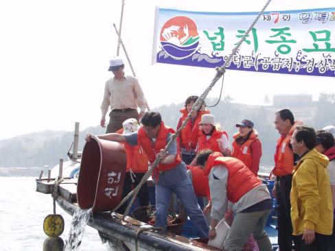 2004. 4. 19 넙치 종묘 방류 사진