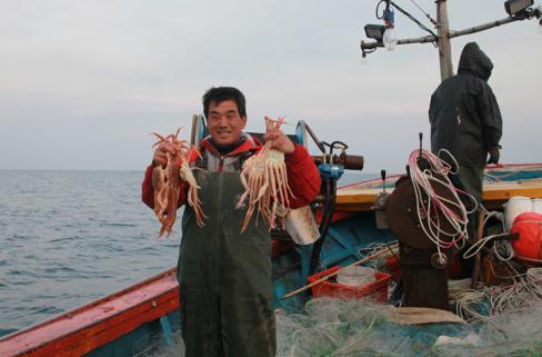 2003 대게 조업