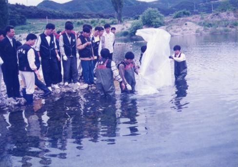 1990 황금은어 방류