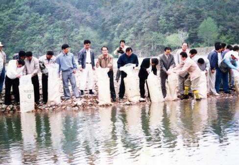 1997. 5. 27 은어종묘 방류사업