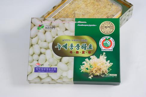동충화초 상품사진